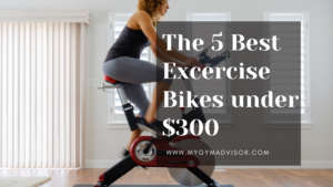 Best exercise bike under $300